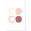 Paveikslas Rožinė Coco