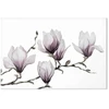 Paveikslas Tapytos magnolijos