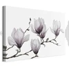 Paveikslas Tapytos magnolijos