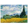 Paveikslas Vincent van Gogh - Kviečių laukas su kiparisais
