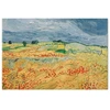 Paveikslas Vincent van Gogh - Laukai su aguonomis