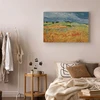 Paveikslas Vincent van Gogh - Laukai su aguonomis