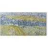 Paveikslas Vincent van Gogh - Overas lietuje