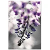 Paveikslas Violetinis skambutis