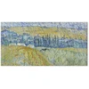 Paveikslas XXL Vincent van Gogh - Overas lietuje