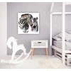 Paveikslas Zebrai