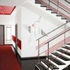 Sienų dekoracija "Veidrodinės Linijos"