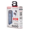 Kišeninis radijo imtuvas Aiwa R-22BL
