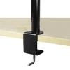 Laikiklis Arctic Cooling Arctic Z2 Basic Desk Mount Dual Monitorius Rankena (AEMNT00040A)
