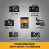 Atminties kortelė Kodak CFexpress Type A 1 Tb EKMCFXA1TK