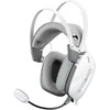 Ausinės White Shark Baltas Shark GH-2446 Gottan Baltas
