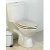 Beldray LA033710WOAKPFEU7 Wooden MDF Toilet Seat, Baltas Oak