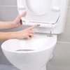 Beldray LA037062PEU7 Anti-bac Quick-release Toilet Seat, Baltas