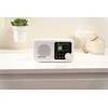 Blaupunkt DR8BK Portable radio juodas