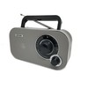FM radijas Denver TR-51 pilka