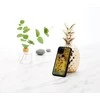 Dėklas iKins SmartPhone case iPhone 11 Pro kiss juodas