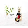 Dėklas iKins SmartPhone case iPhone 11 Pro mondrian juodas