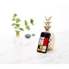 Dėklas iKins SmartPhone case iPhone 11 Pro mondrian juodas