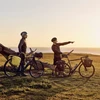 Thule Shield Pannier 13 l dviračio krepšiai, 2 vnt., geltoni