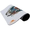 Baracuda BGMP-041 Coral 300x250