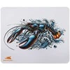 Baracuda BGMP-061 Lobster 300x250