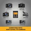 „Kodak CFexpress“ 480 GB tipo EKMCFXA480GK