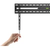 Laikiklis Sbox BL-3869F (50"-100"/75kg/900x600)