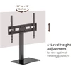 Sbox FS-306 LED TV Floor Mount (37-75"/40kg/600x400)