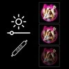 Manta MASNL130PK stiliaus neoninės šviesos BEAUTY LED neoninis veidrodis
