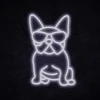 Manta SNL66WH Style Neon Lights FRENCH BULLDOG Baltas