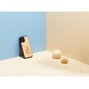 Dėklas MAN&amp;WOOD case for iPhone 12 Pro Max cat with red fish