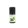 Pipirmėčių esencija Medisana Aroma 60036 10ml