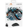 Baracuda BGM-081 Lobster Juodas