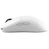 Pelė White Shark Baltas Shark POMPEY WGM-9014, Baltas