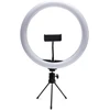 Rio 30cm Studio RGB Beauty Ring Light