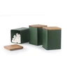 Salter BW12898G Toronto 3-Piece Canister Set, Žalias