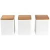 Salter BW12898WEU7 Toronto 3-Piece Canister Set Baltas