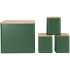 Salter BW12900G Toronto 4-Piece Countertop Set, Žalias