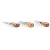Salter BW14826 Toronto Cheese Board, Acacia Wood