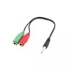 White Shark kabelis 3,5mm x2 F. 3Pin - 3,5mm M. 4Pin 0,2M