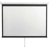 Sbox PSM-4/3-120-2 Projektorius ekranas 240x180cm