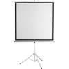 Sbox PSMT-135-2 Projektoriaus ekranas 240x240cm
