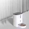 Išmanus maisto dozatorius Sponge Pet Feeder DUAL