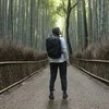 Thule | Nešiojamas kompiuteris Backpack, 27 L | TSLB417 Subterra 2 | Tinka iki 16 " | Backpack | Juodas