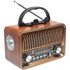 Radio FM radijas radijas TRACER RTX200