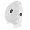 Beper P206VEN561