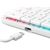 White Shark Baltas Shark Baltas Shark gaming mechaninė klaviatūra NAGAMAKI, US išdėstymas, red switch, baltos spalvos (GK-006211)