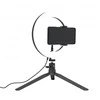 White Shark Moonlight, Ring LED light šviestuvas su stovu