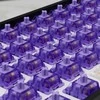 White Shark Baltas Shark Baltas Shark Baltas Shark Purplepulse Mechanical Switches 65 pcs.