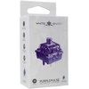 White shark Baltas Shark Baltas Shark Purplepulse Mechaninė Switches 25 pcs.